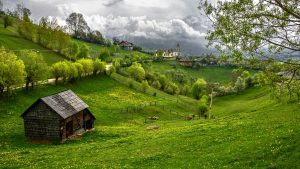 Transylvania country